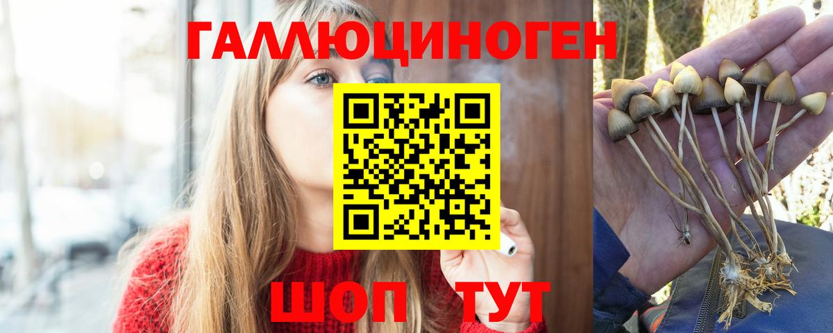 Прокопьевск  Галлюциногенные грибы MAGIC MUSHROOMS  Псилоцибиновые грибы MAGIC MUSHROOMS  цены наркотик  Вход с VPN 